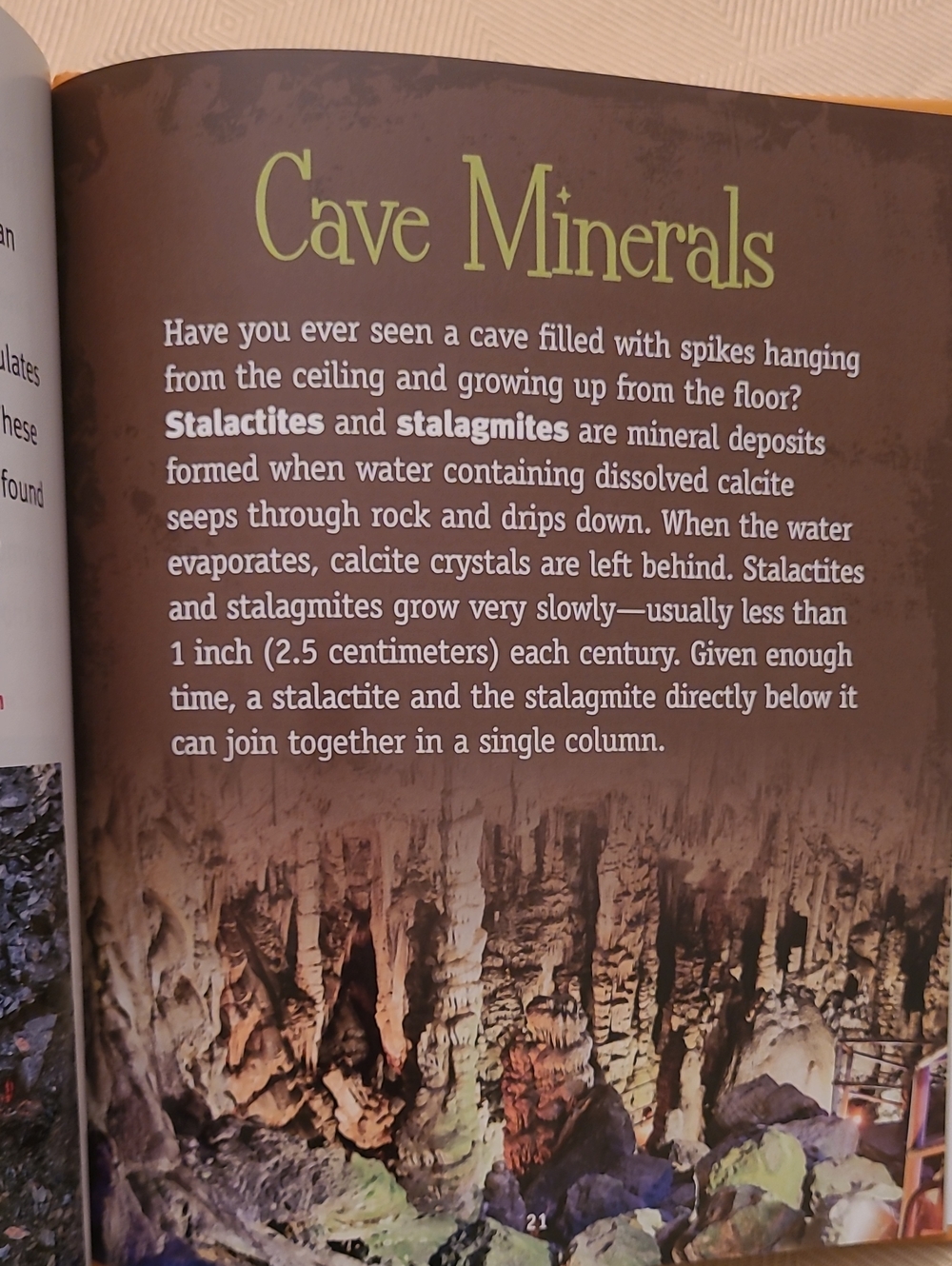 NEW 4 Book Set Rocks And Minerals - Picture 6 of 13